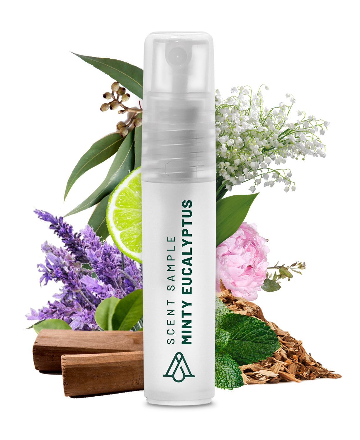 SP012 - Sample Minty Eucalyptus