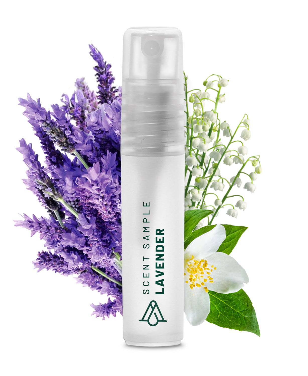 SP026 - Sample Lavender