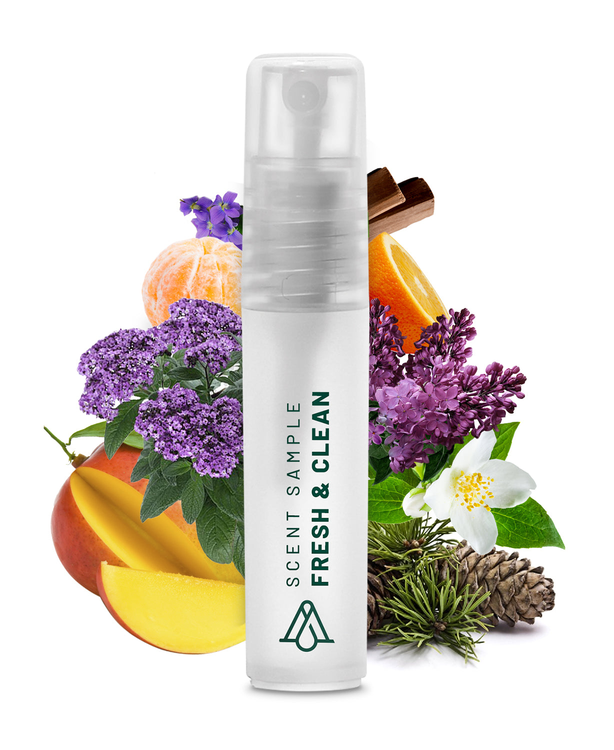 SP050 - Sample Fresh&Clean