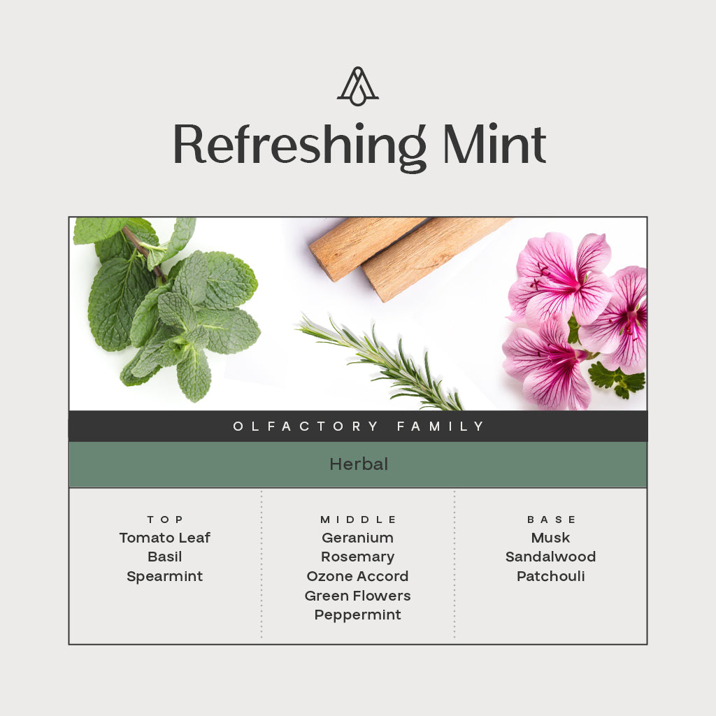 Refreshing Mint - Reed Diffuser  – AromaPlan