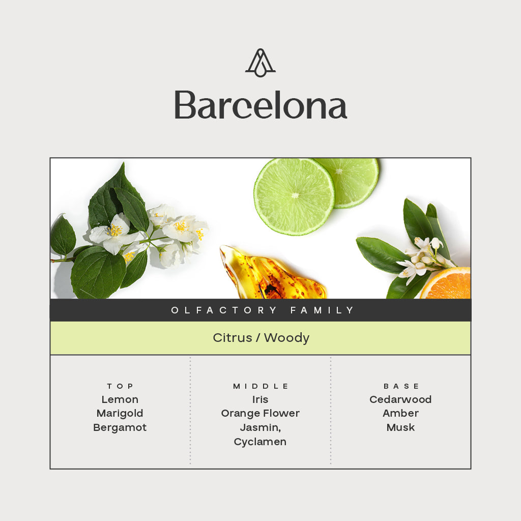Barcelona Fragrance AP104 - AromaPlan