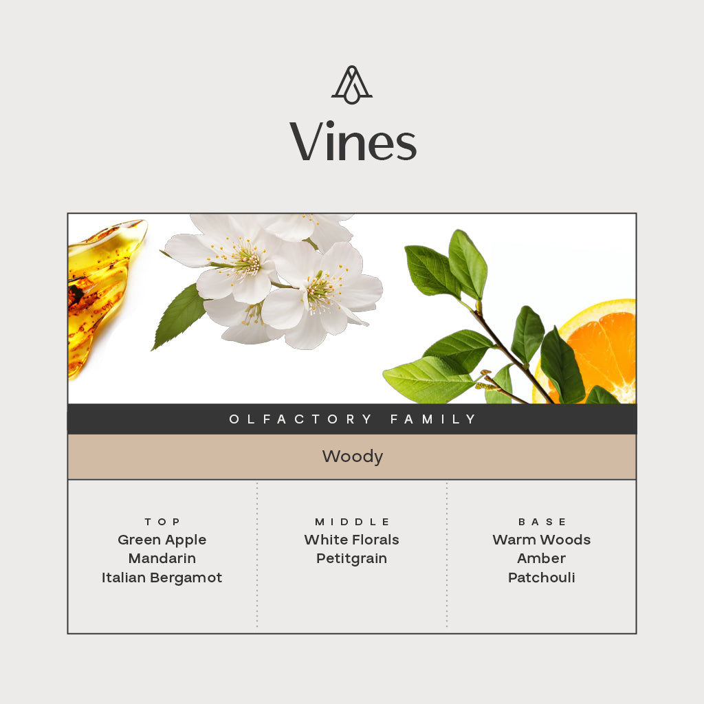Vines Fragrance AP109 - AromaPlan