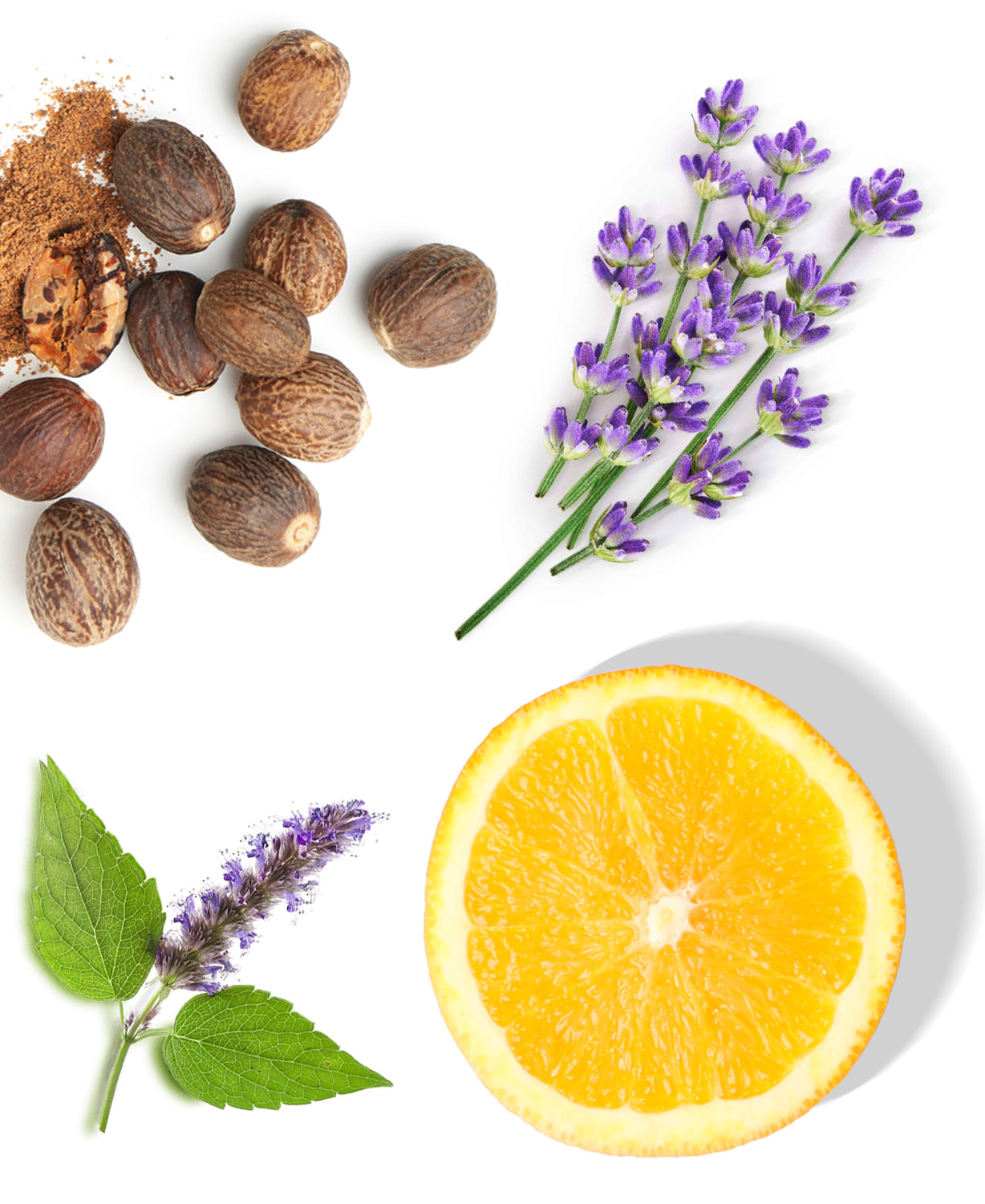 Fall Woods Fragrance AP011 - AromaPlan