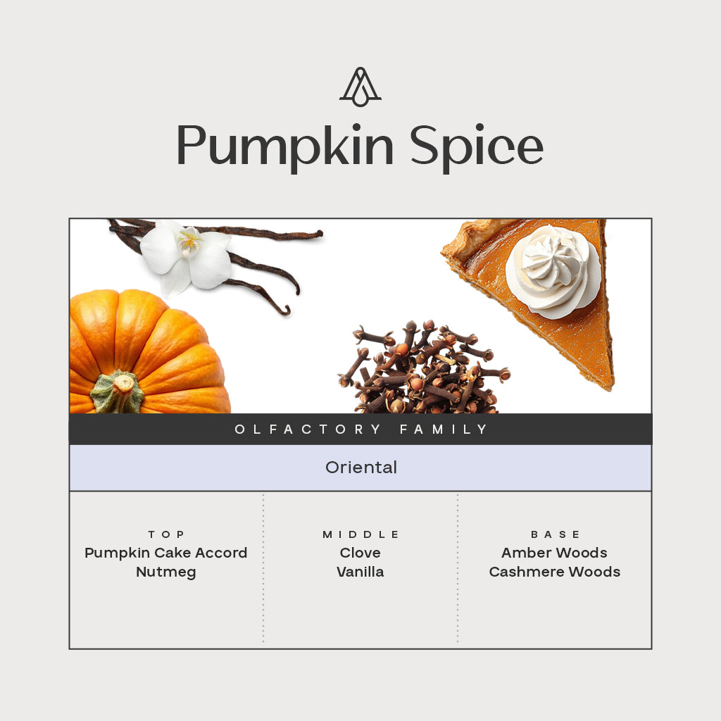 Pumpkin Spice Fragrance AP113 - AromaPlan
