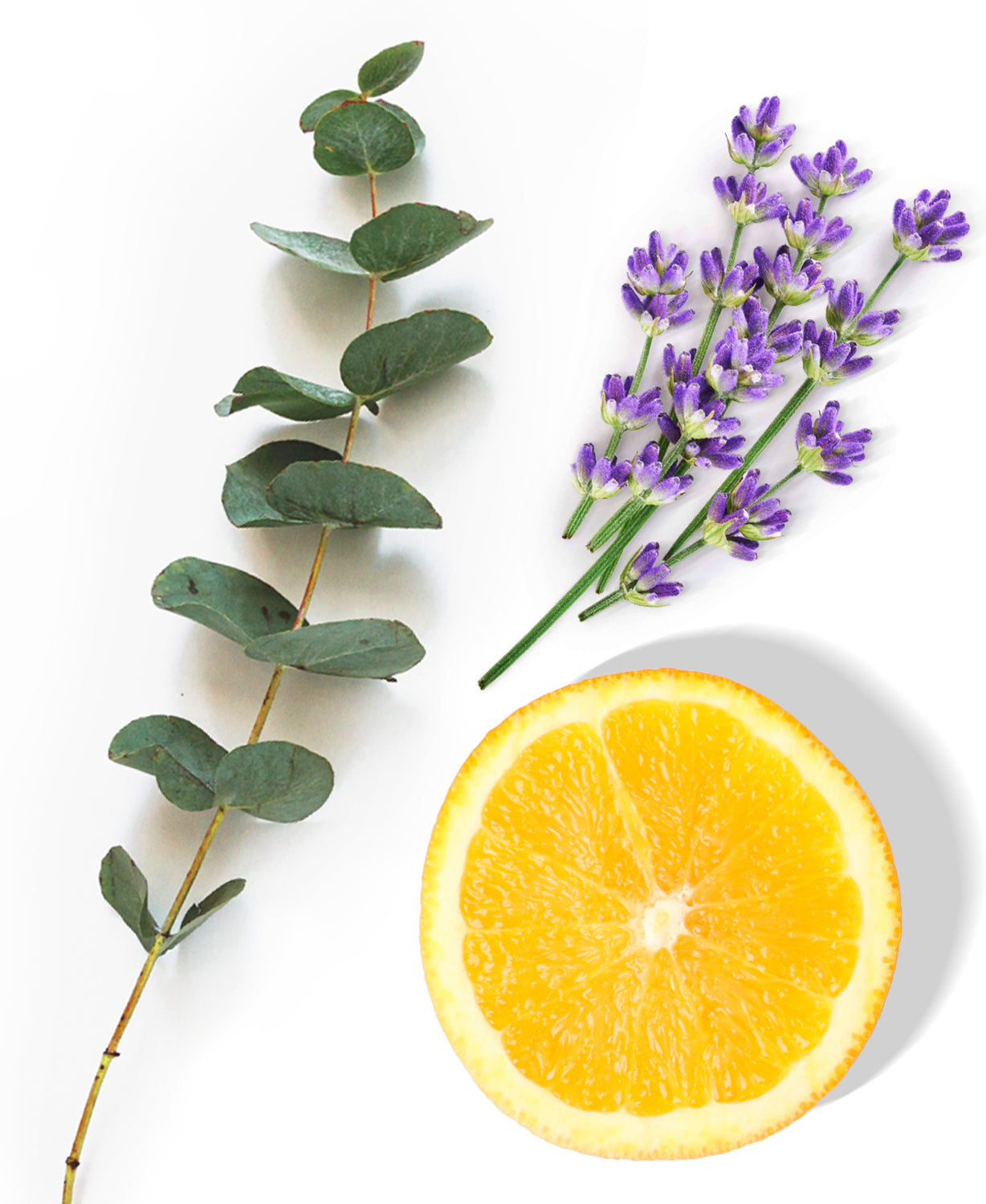 Kit Room & Car Scent Minty Eucalyptus – AromaPlan