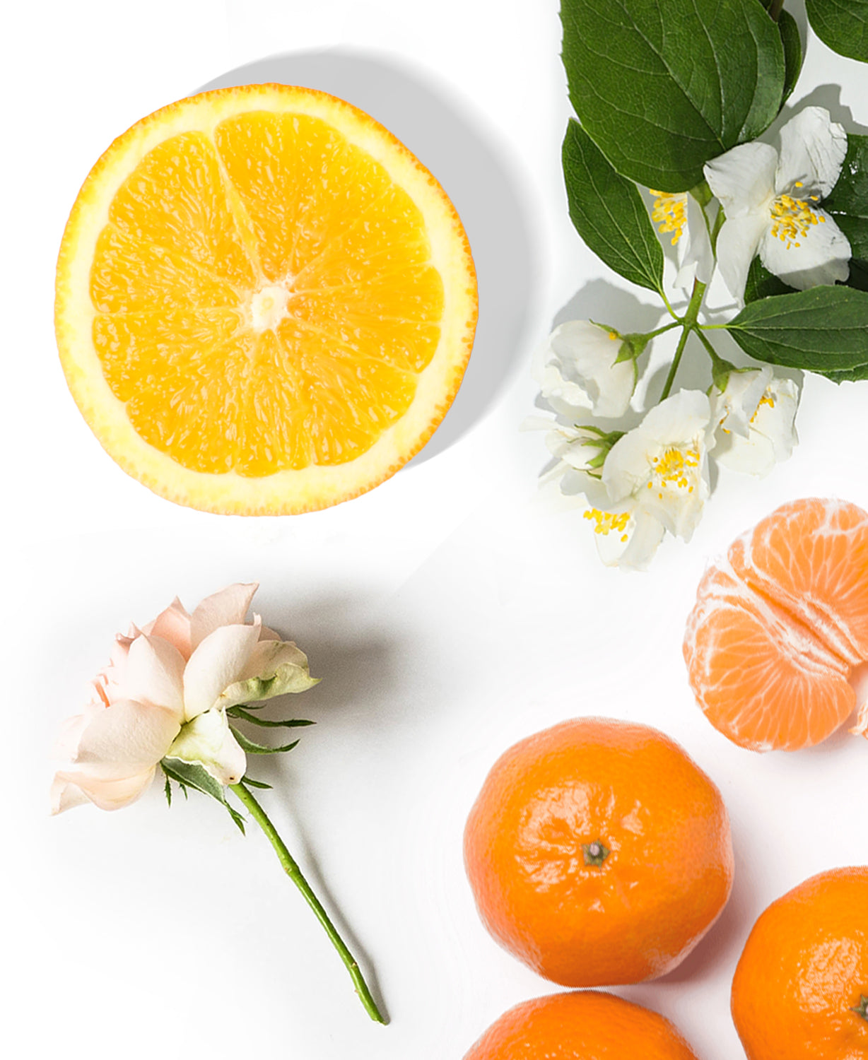 Wind Air Fragrance (Inspired by "Osklen Brazil") AP021 - AromaPlan