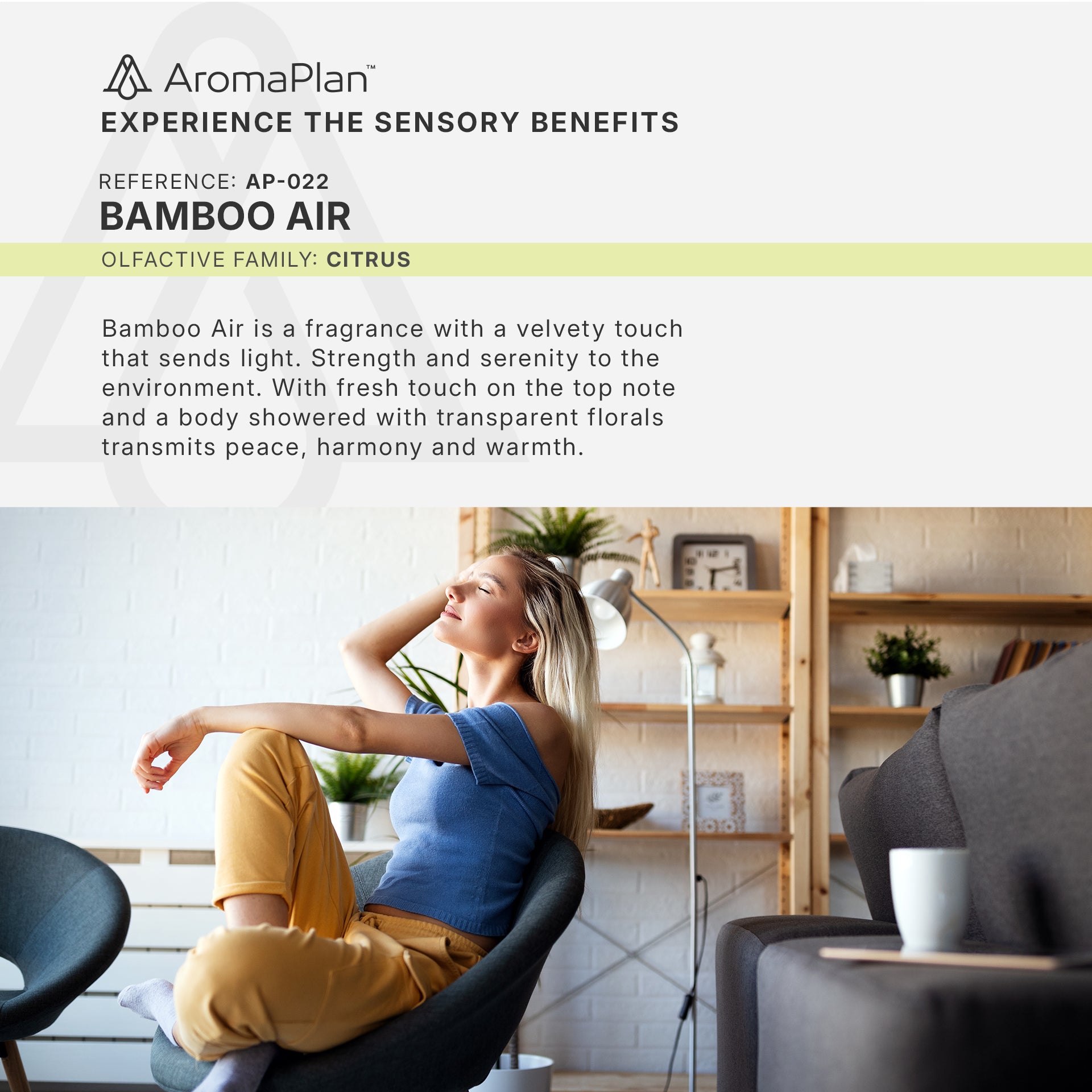 Kit Room & Car Scent AP-022 - Bamboo
