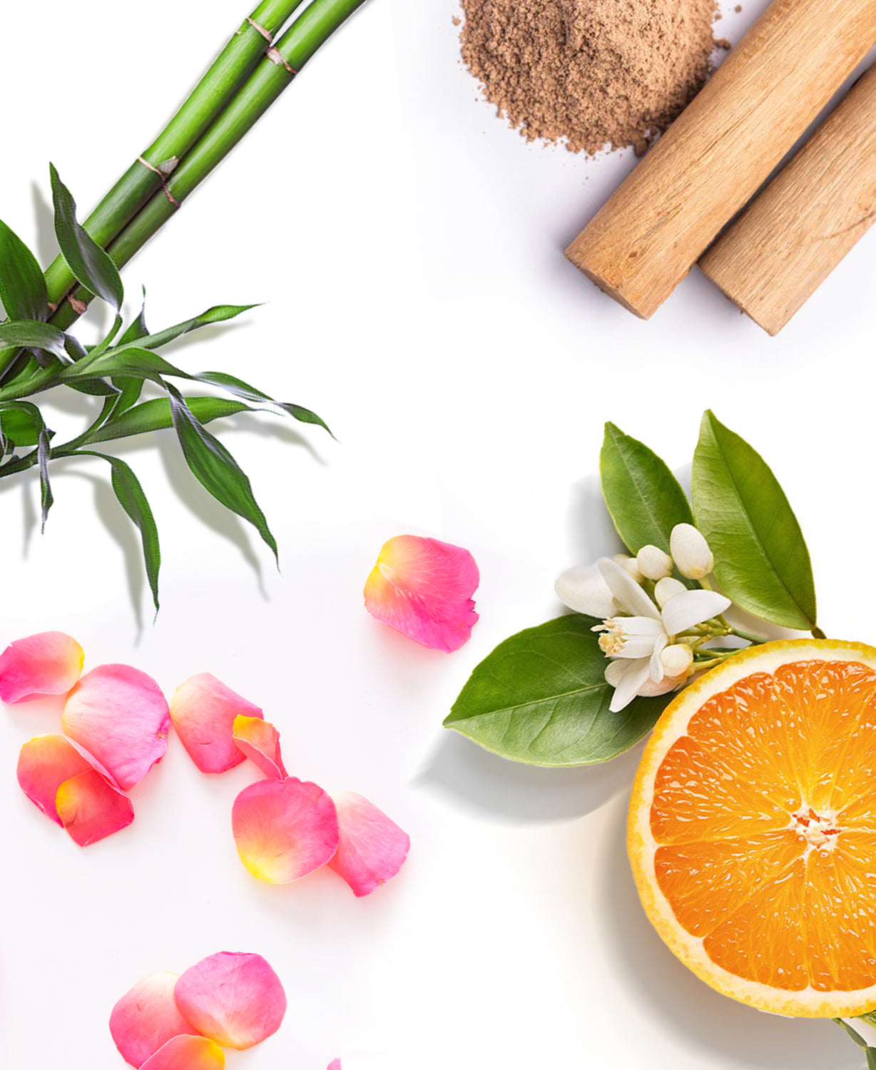 Kit Room & Car Scent Bamboo – AromaPlan
