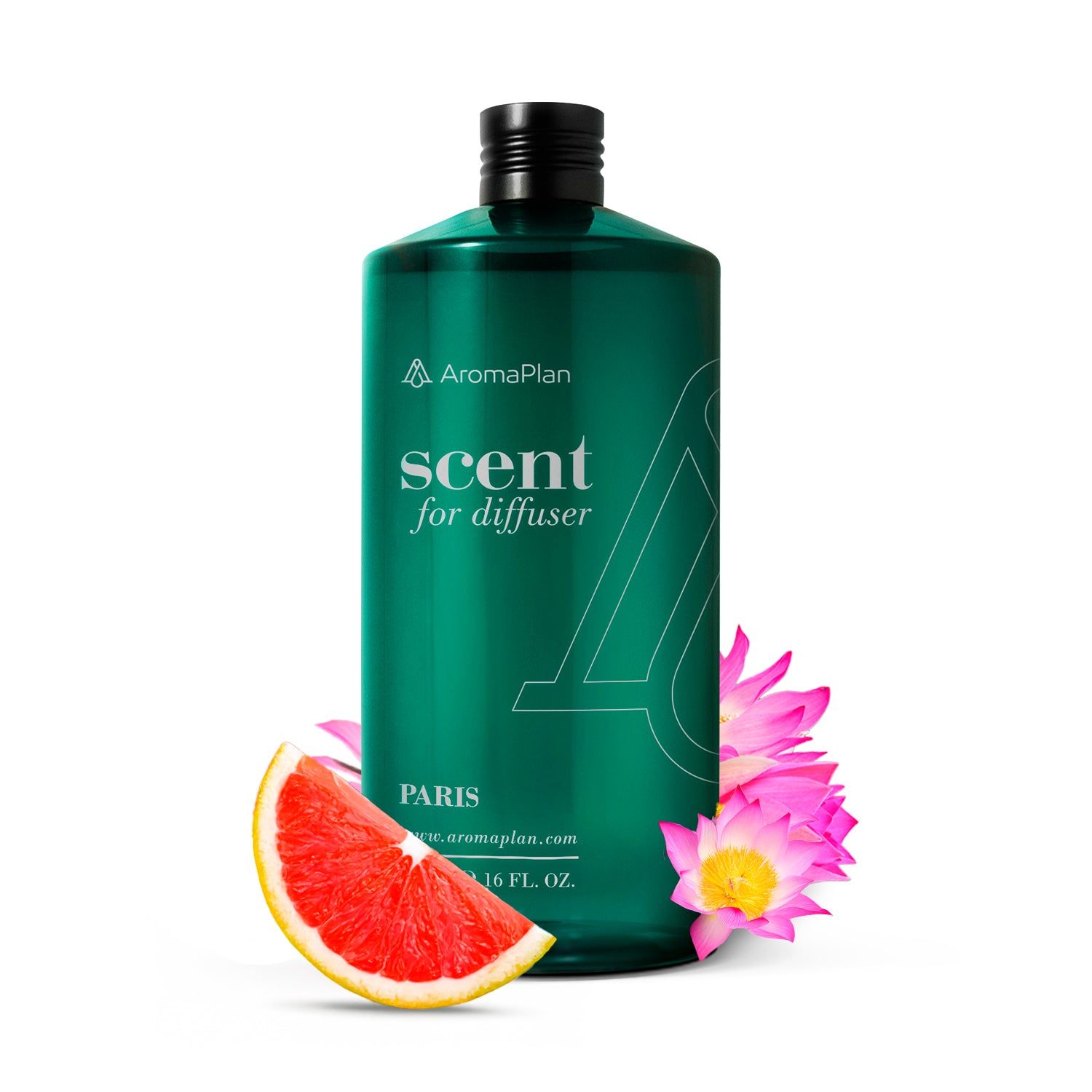 Paris Fragrance (Inspired by “Terre D&