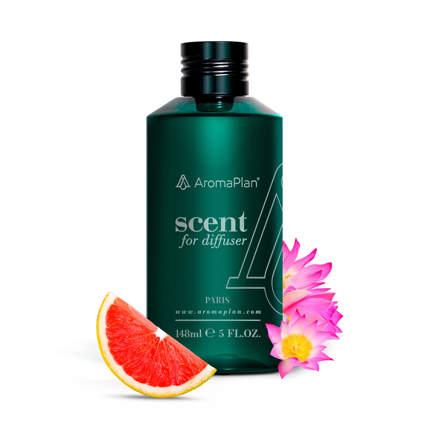 Paris Fragrance (Inspired by “Terre D&