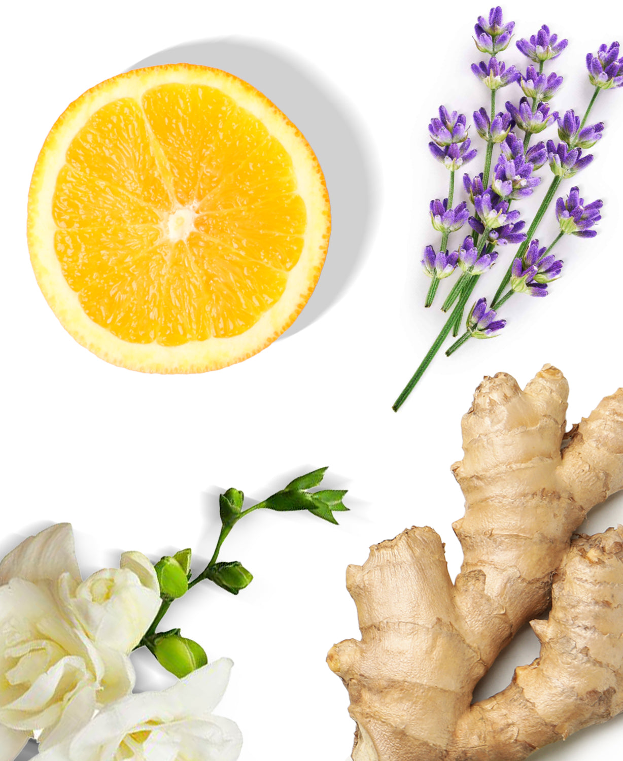 Dubai Fragrance AP027 - AromaPlan