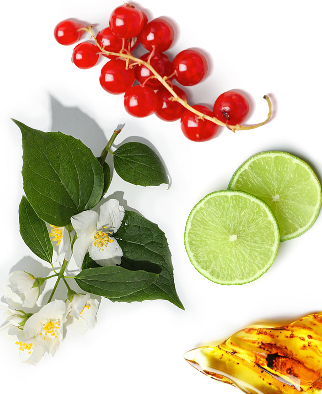 Golden Velvet Fragrance AP034 - AromaPlan