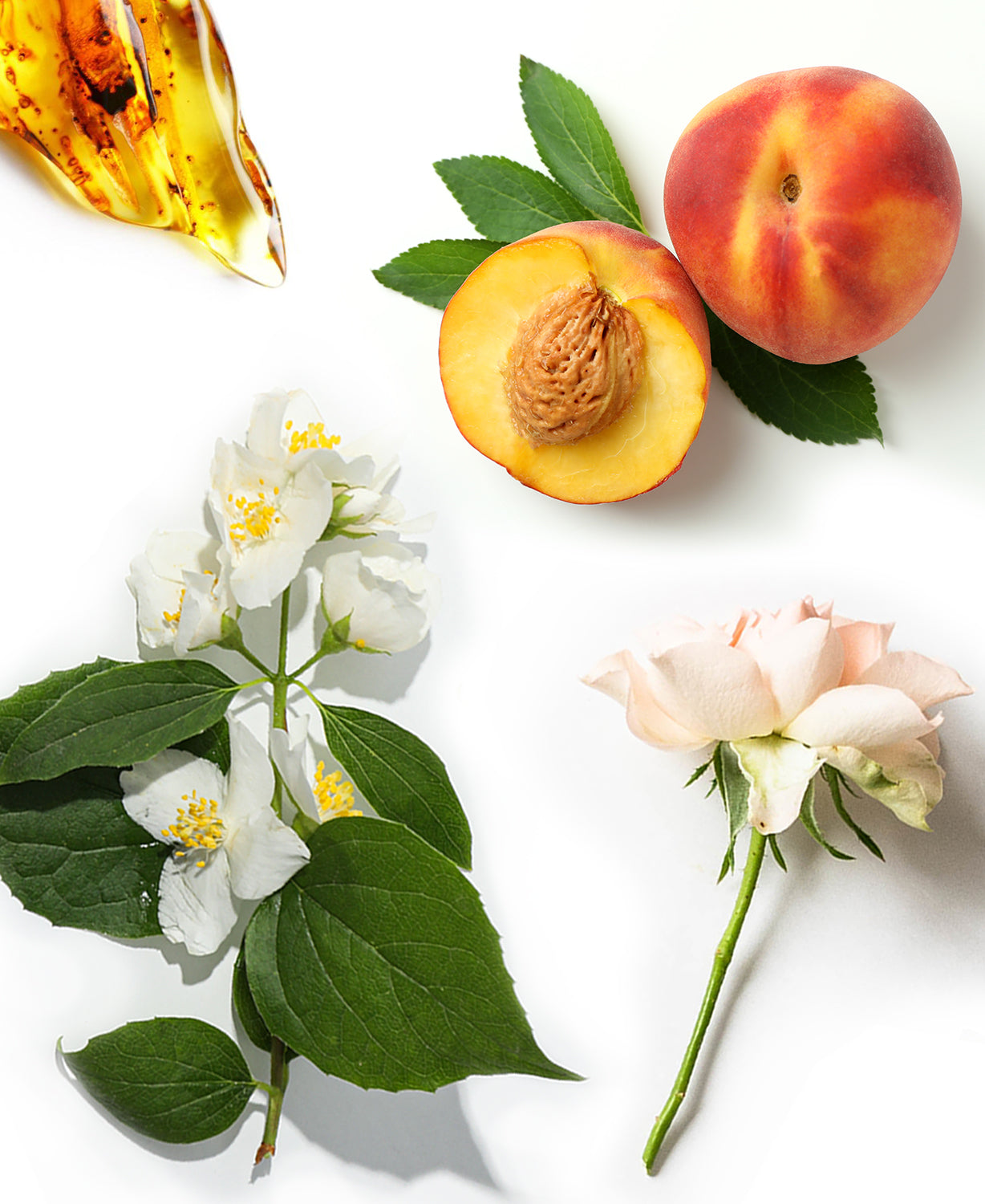 Bright Sunshine Fragrance AP040 - AromaPlan