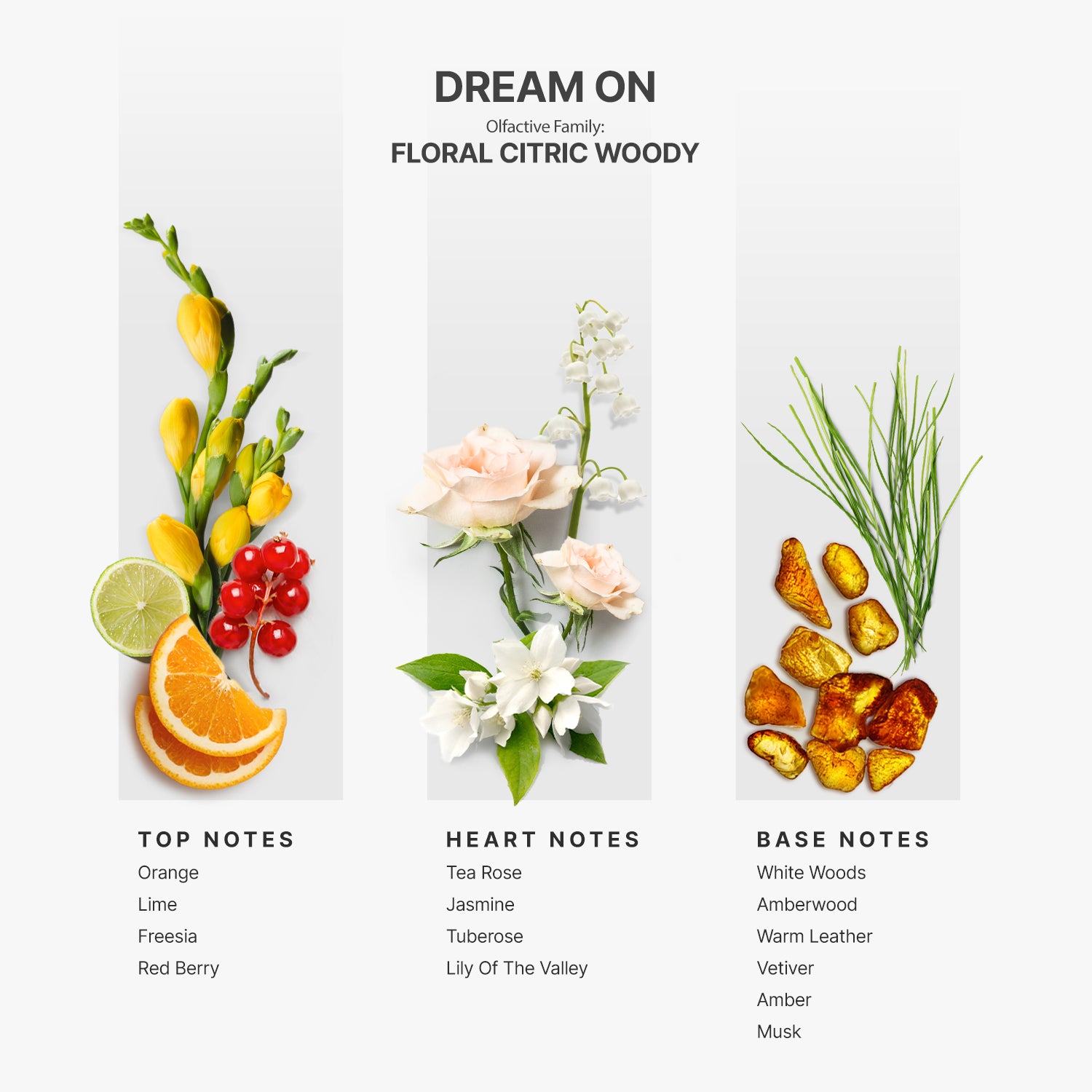 Room Spray AP-044 - Dream On - 3.4 Fl oz (100ml)