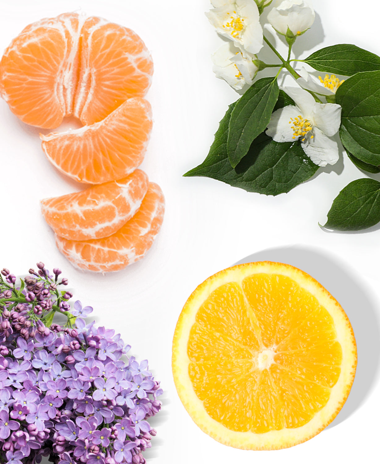 Fresh & Clean Fragrance AP-050 - AromaPlan