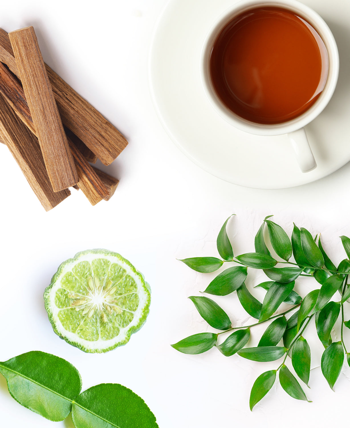 White Tea & Thyme Fragrance AP058 - AromaPlan