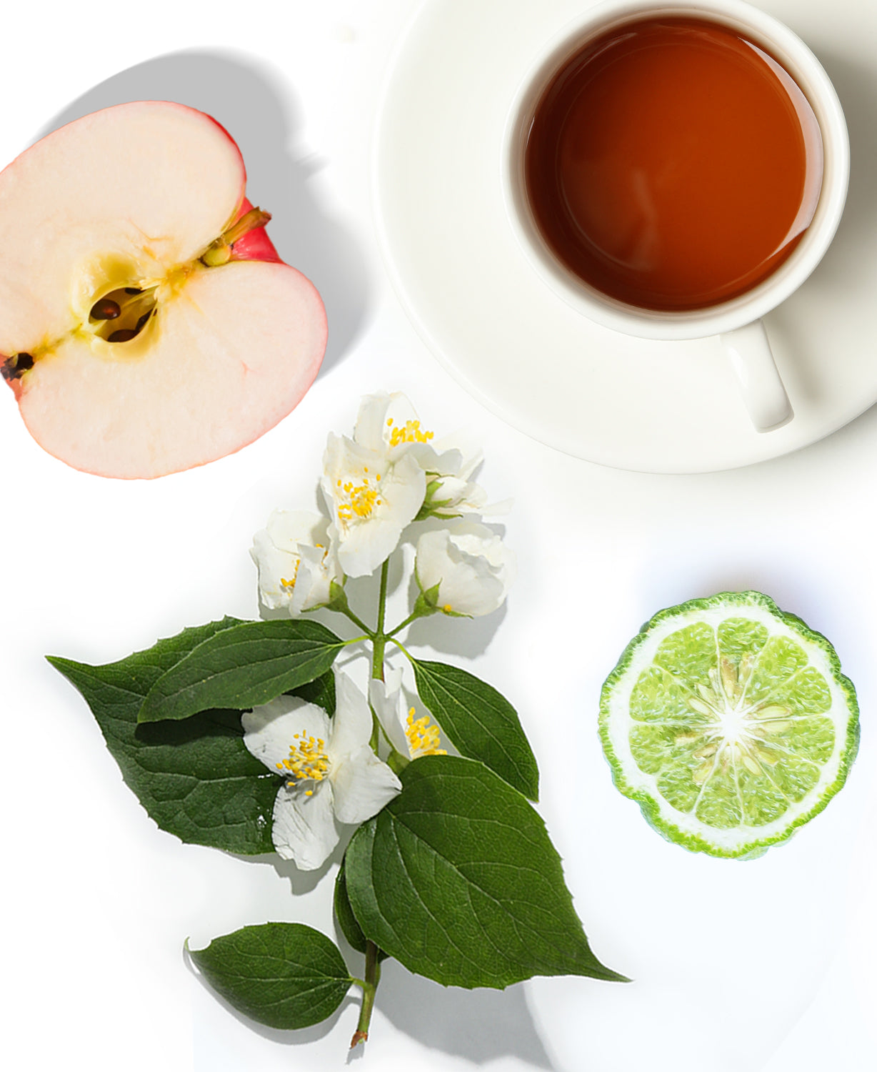 White Tea & Fig Fragrance AP059 - AromaPlan