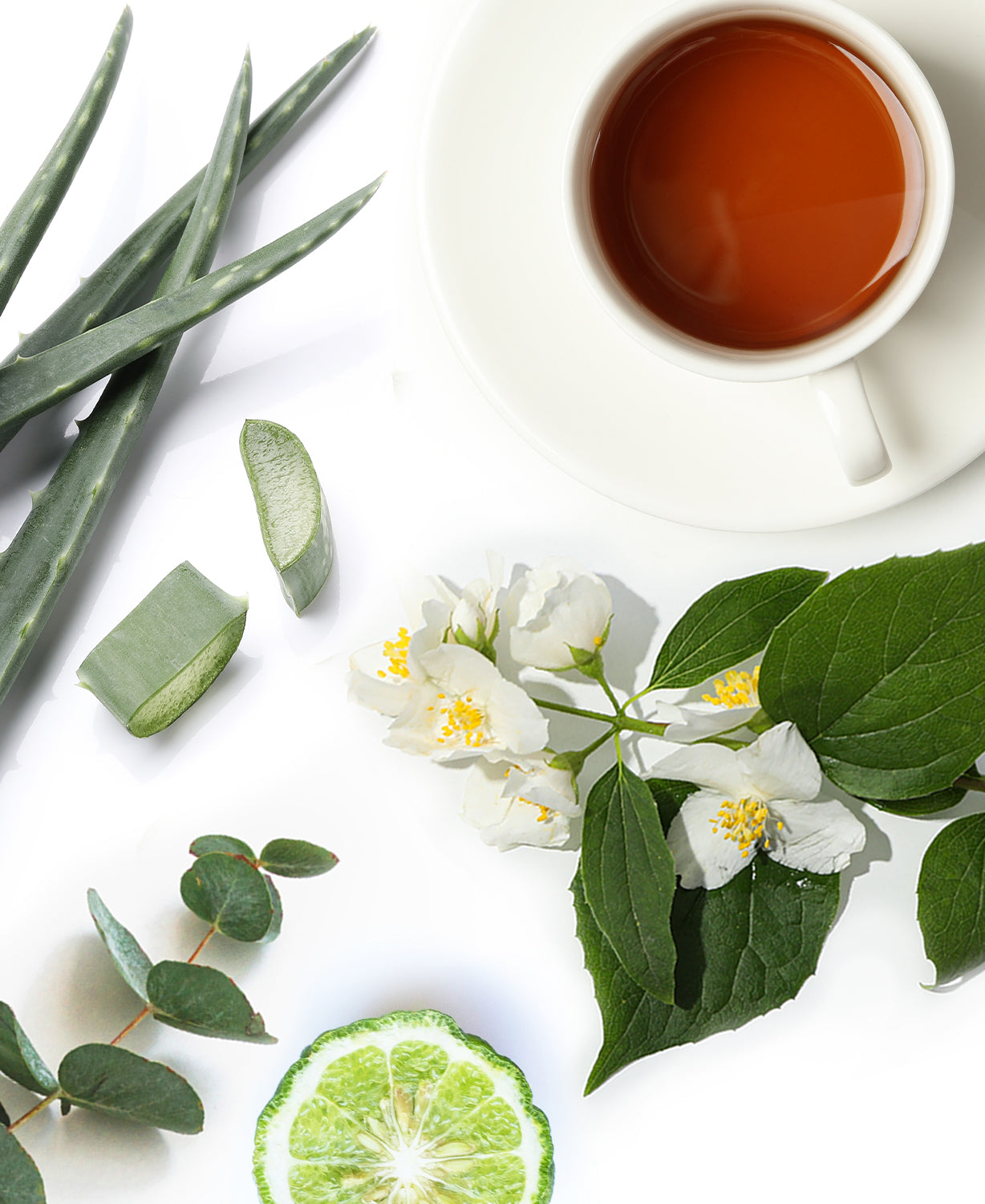 White Tea & Aloe Fragrance AP061 - AromaPlan