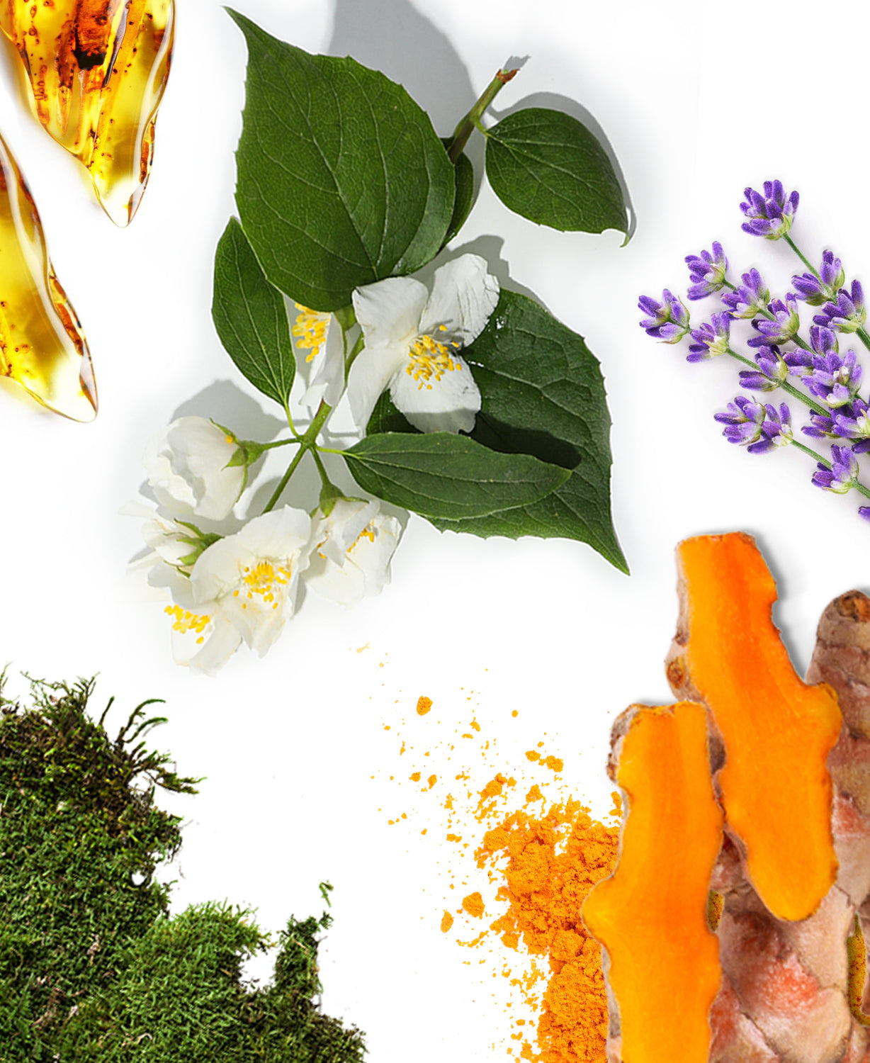 Maldivas Fragrance AP069 - AromaPlan