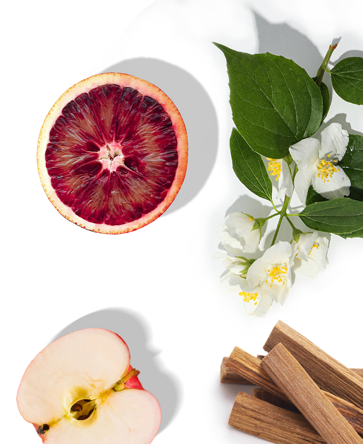 Diamond Euphoria Fragrance AP083 - AromaPlan