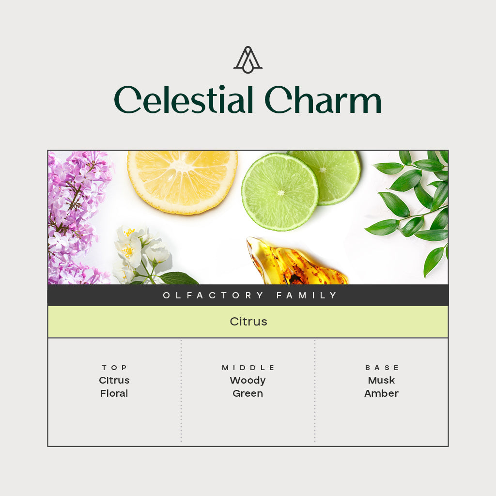 Celestial Charm Fragrance Sample Kit (12 Samples)