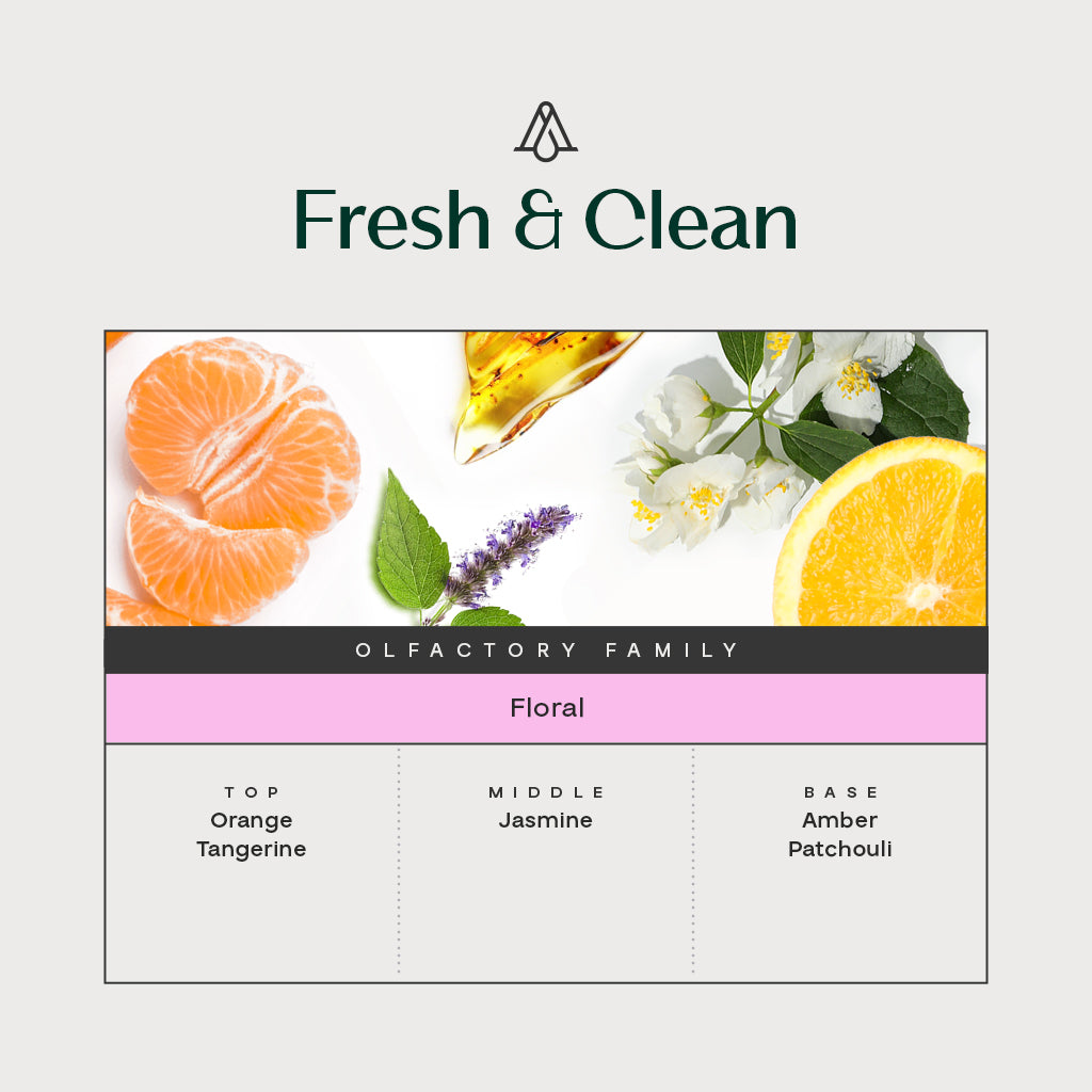 Fresh & Clean Fragrance Sample Kit (12 Samples)