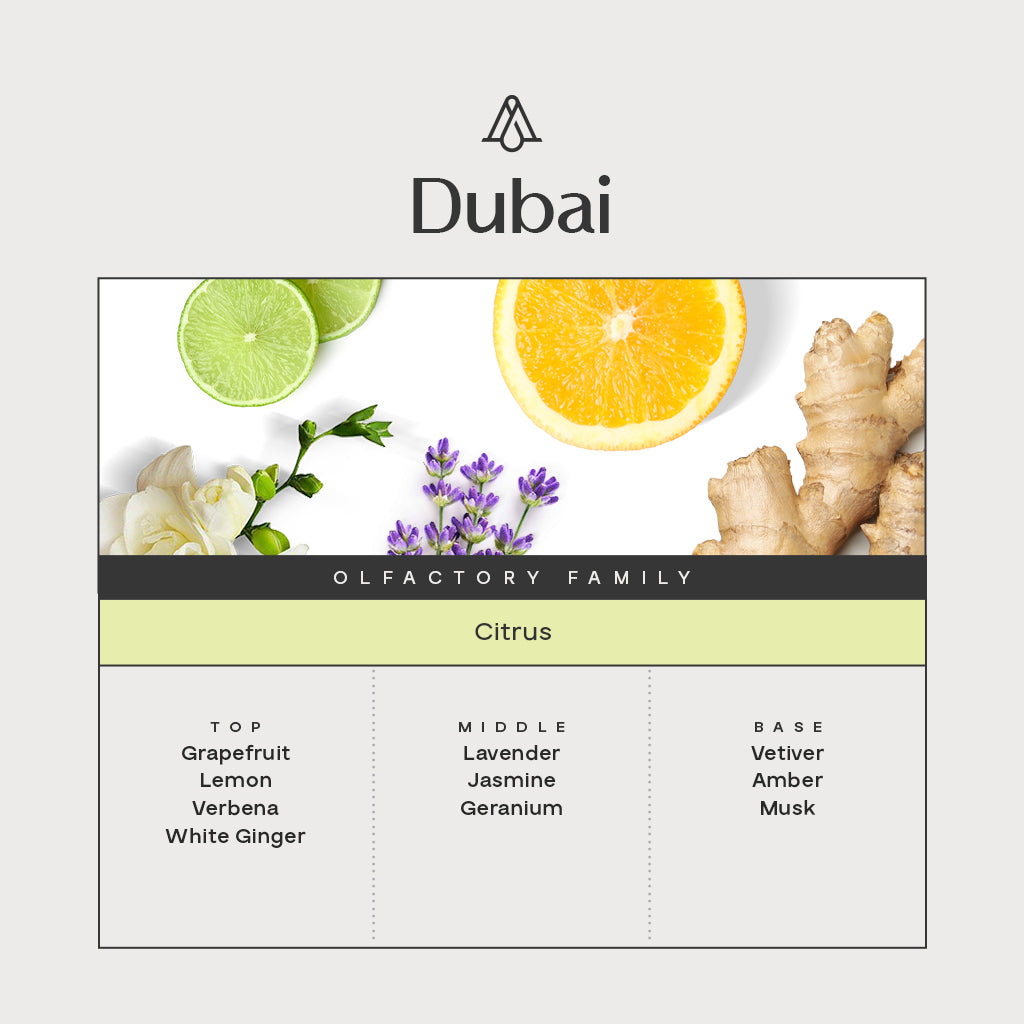 Dubai Fragrance Sample Kit (12 Samples)