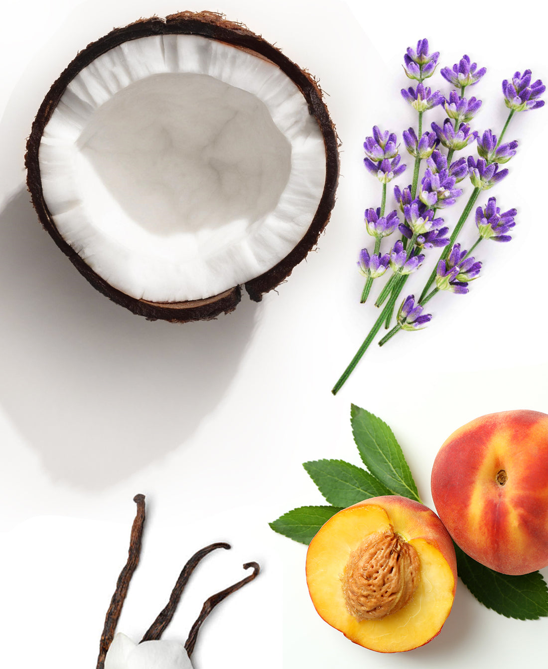 Inspired in Lavender & Vanilla Downy Fragrance AP088 - AromaPlan