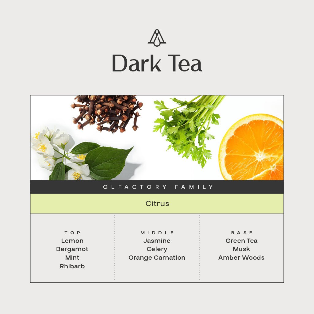 Dark Tea Fragrance AP110 - AromaPlan