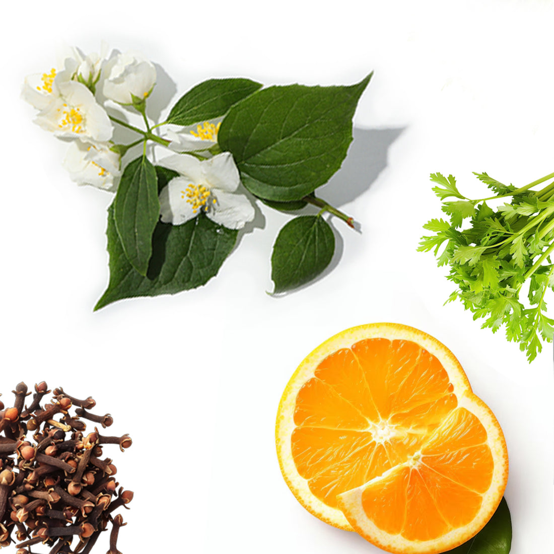 Dark Tea Fragrance AP110 - AromaPlan