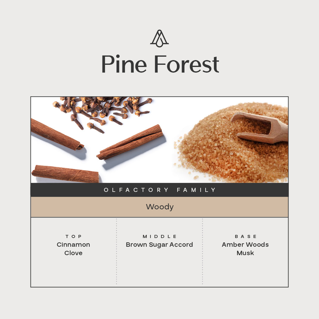 Pine Forest Fragrance AP116 -  AromaPlan