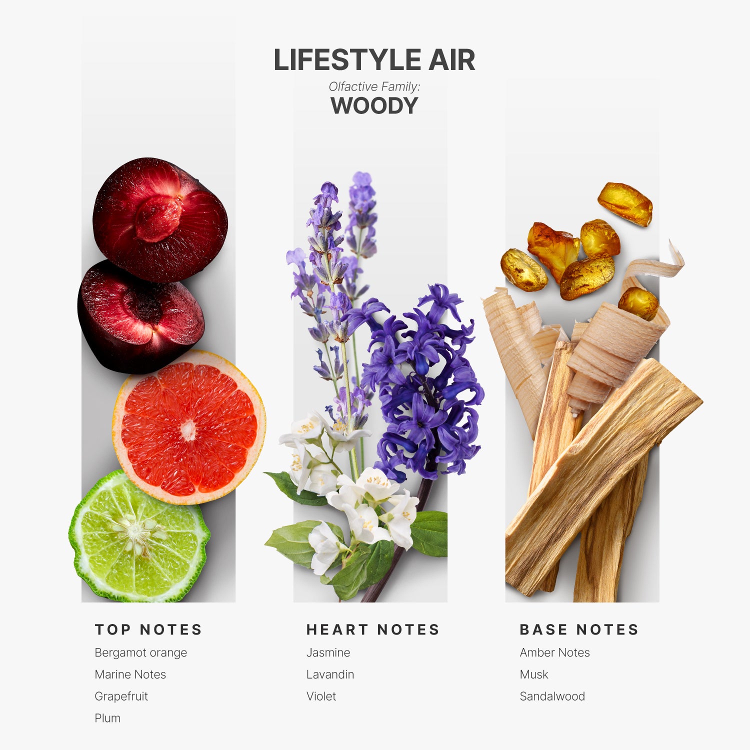 Best Sellers Samples + Full Size Lifestyle Air fragrance Kit