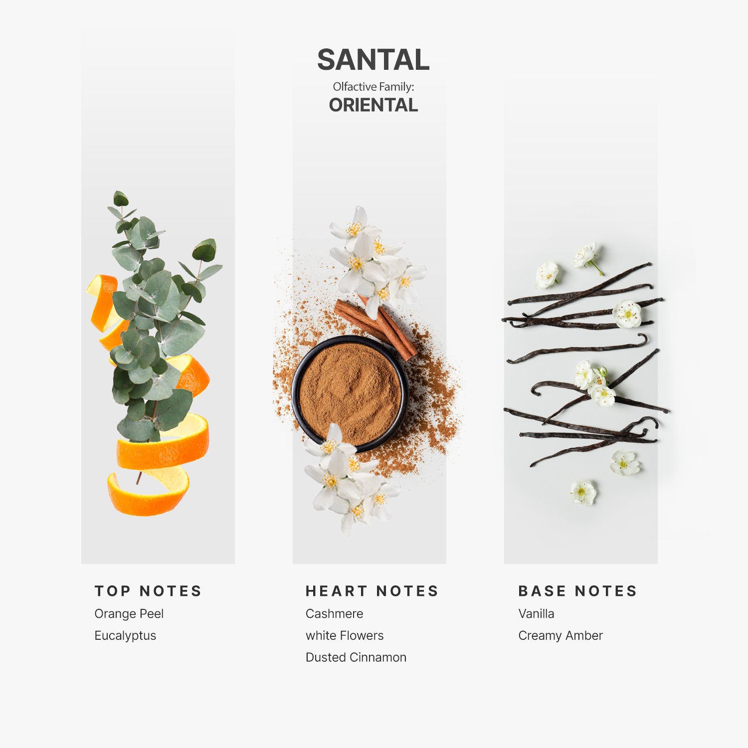 Best Sellers Samples + Full Size Santal fragrance Kit