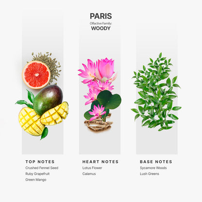 AP024 - Paris (Inspired by “Terre D&