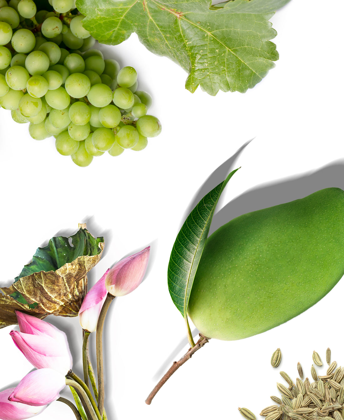 Paris Fragrance (Inspired by “Terre D&