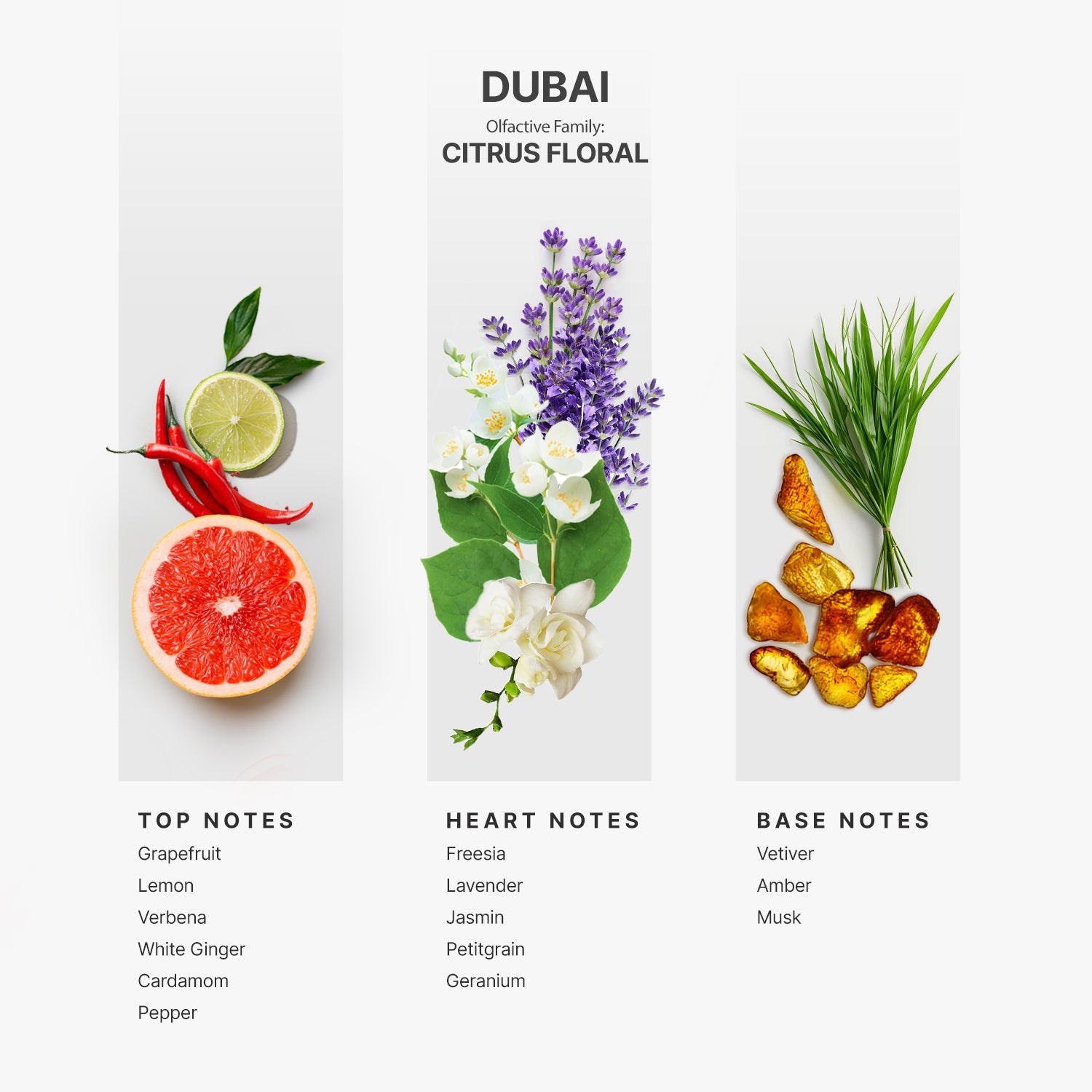 Fragrance Dropper Bottle 15ml (Dubai)