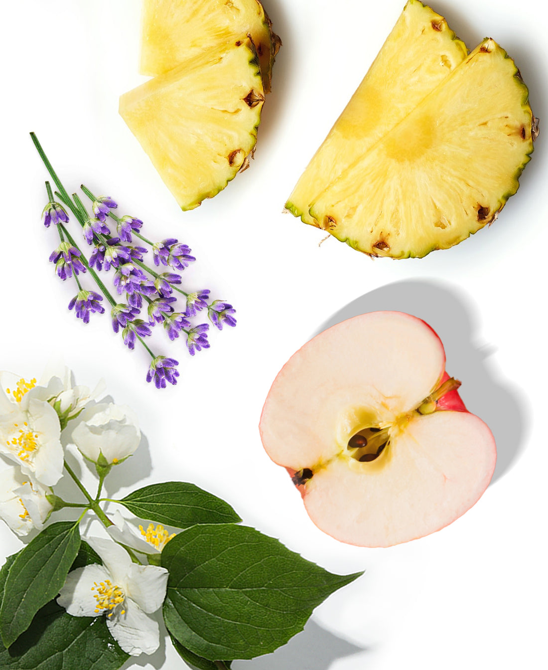 November Season Fragrance AP035 - AromaPlan