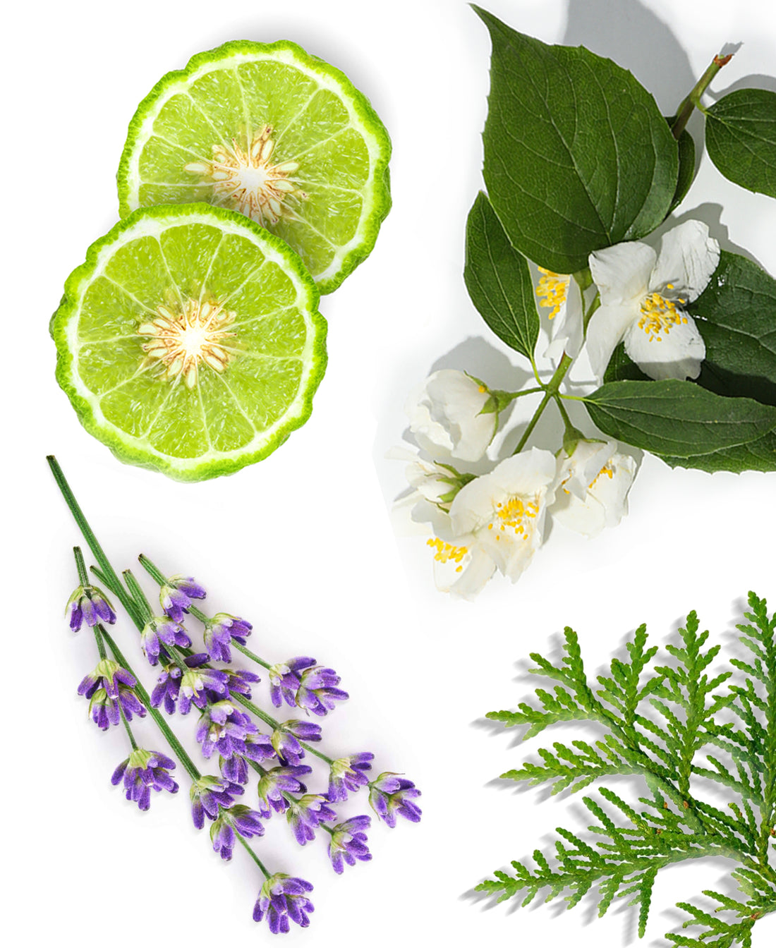 Car Spray 24 Knights Fragrance 1 Fl oz (30ml) - AromaPlan