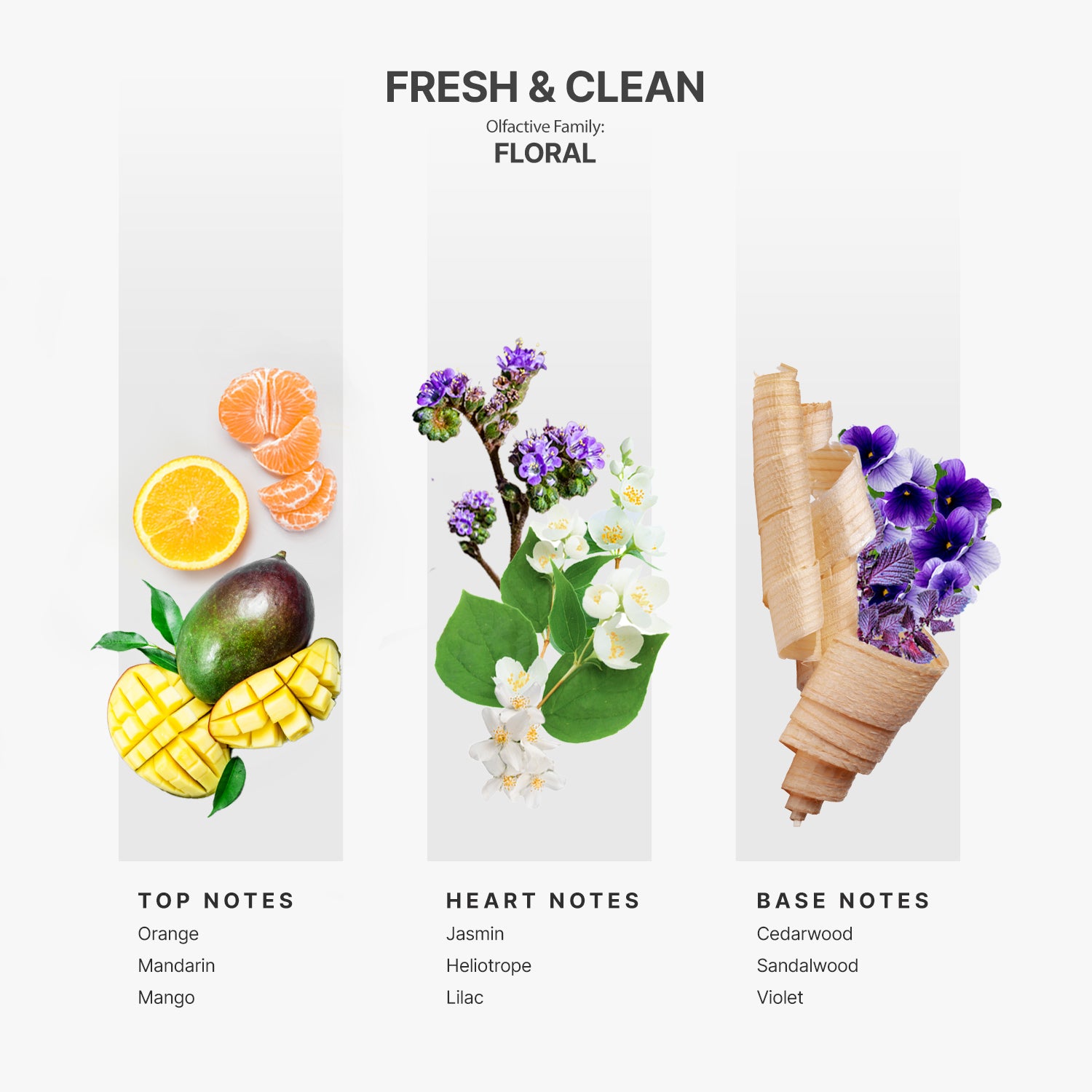 Best Sellers Samples + Full Size Fresh &amp; Clean fragrance Kit