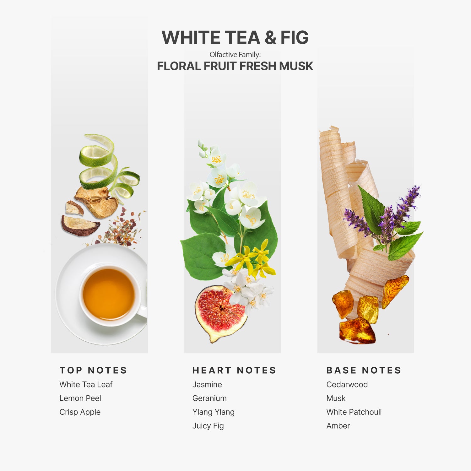 AP059 - White Tea &amp; Fig