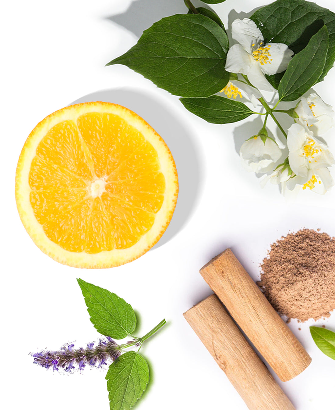 Abu Dhabi Fragrance AP068 - AromaPlan