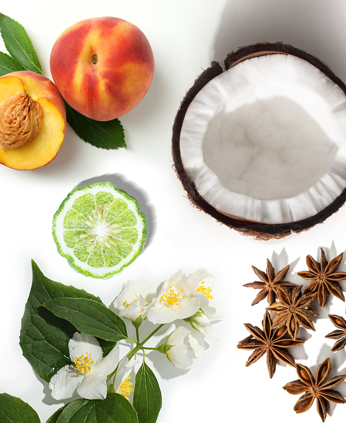 Platinum Serenity Fragrance AP075 - AromaPlan