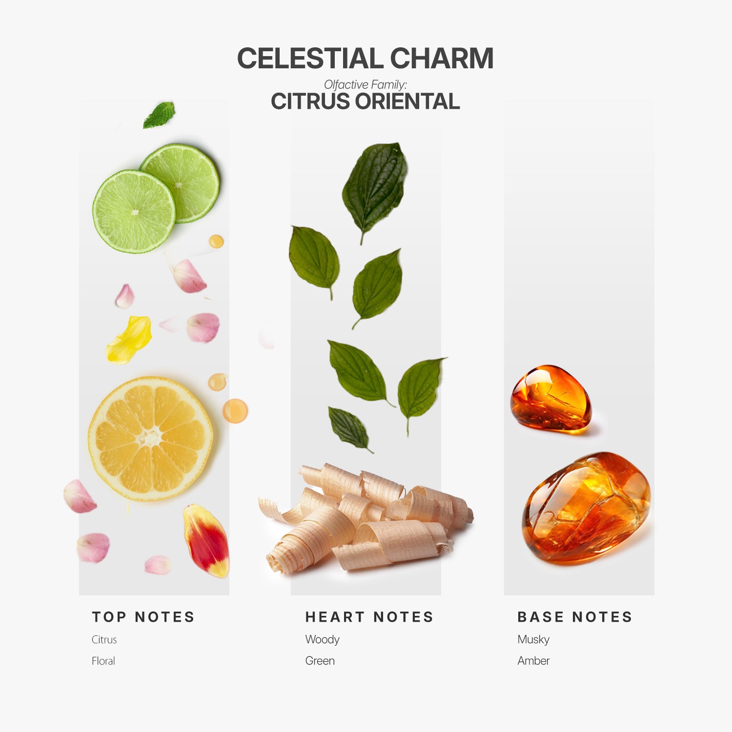 Best Sellers Samples + Full Size Celestial Charm fragrance Kit