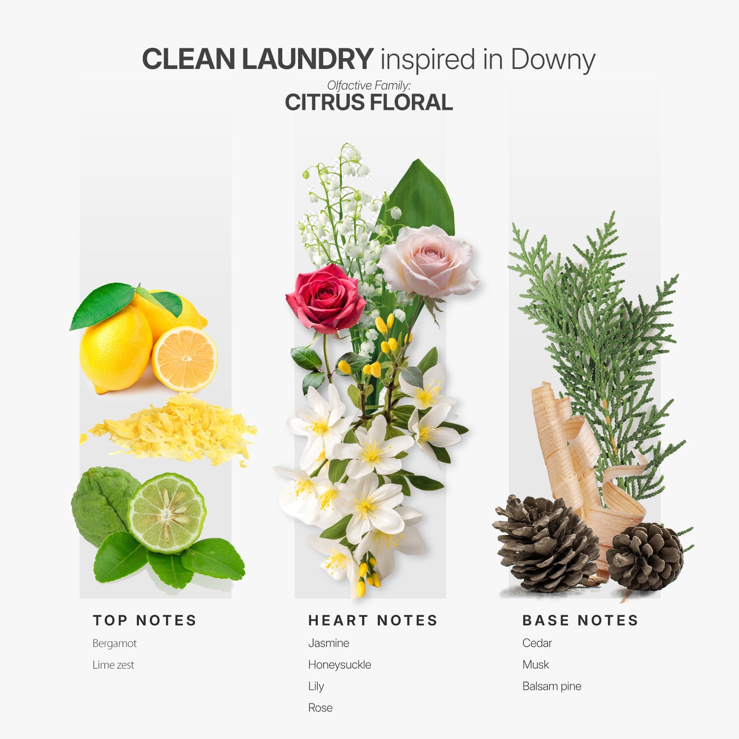 AP089 - Clean Laundry Inspired in Downy