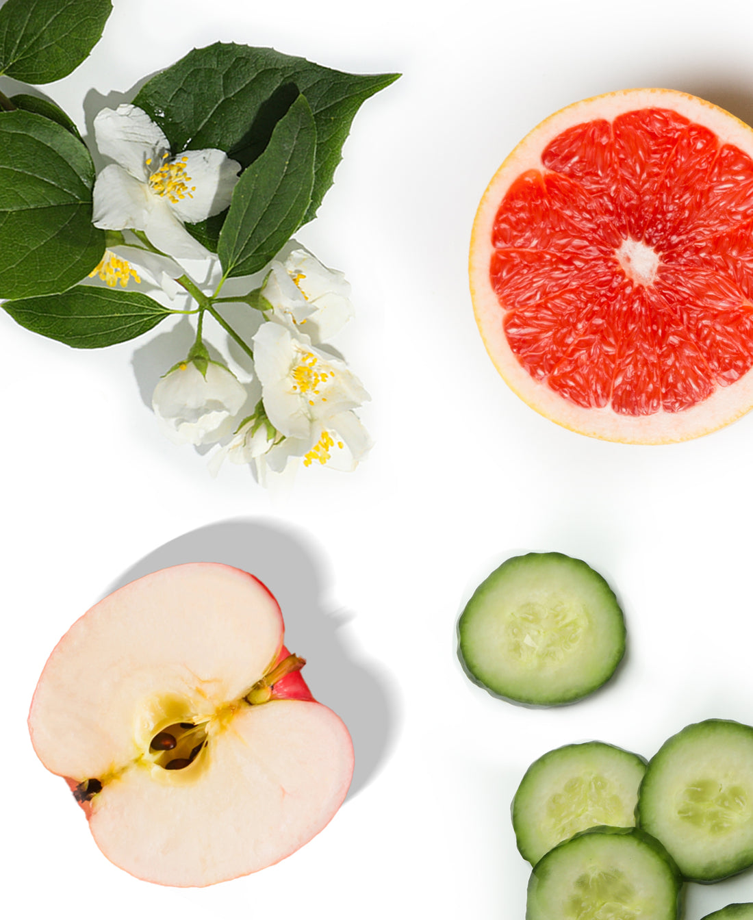 Paradise Passion Fragrance AP094 - AromaPlan