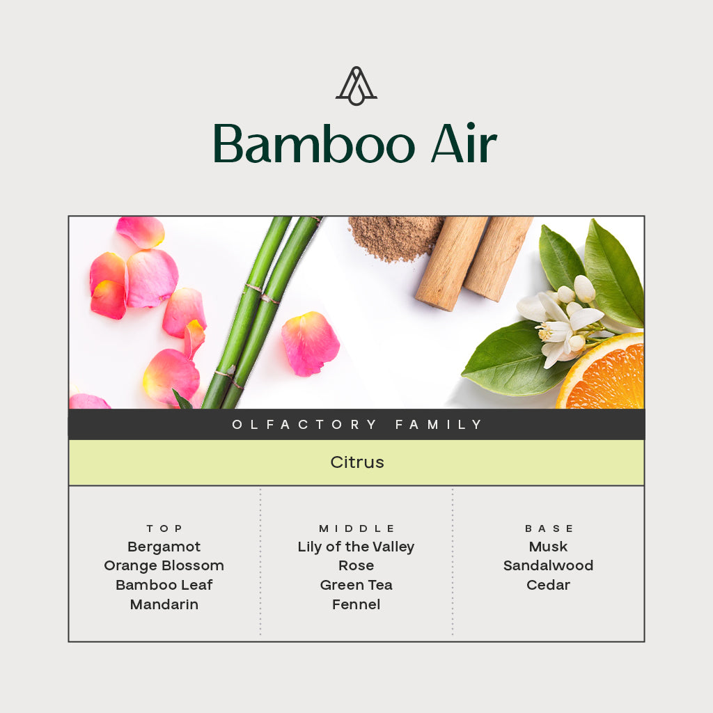 Kit Room &amp; Car Scent Bamboo  – AromaPlan