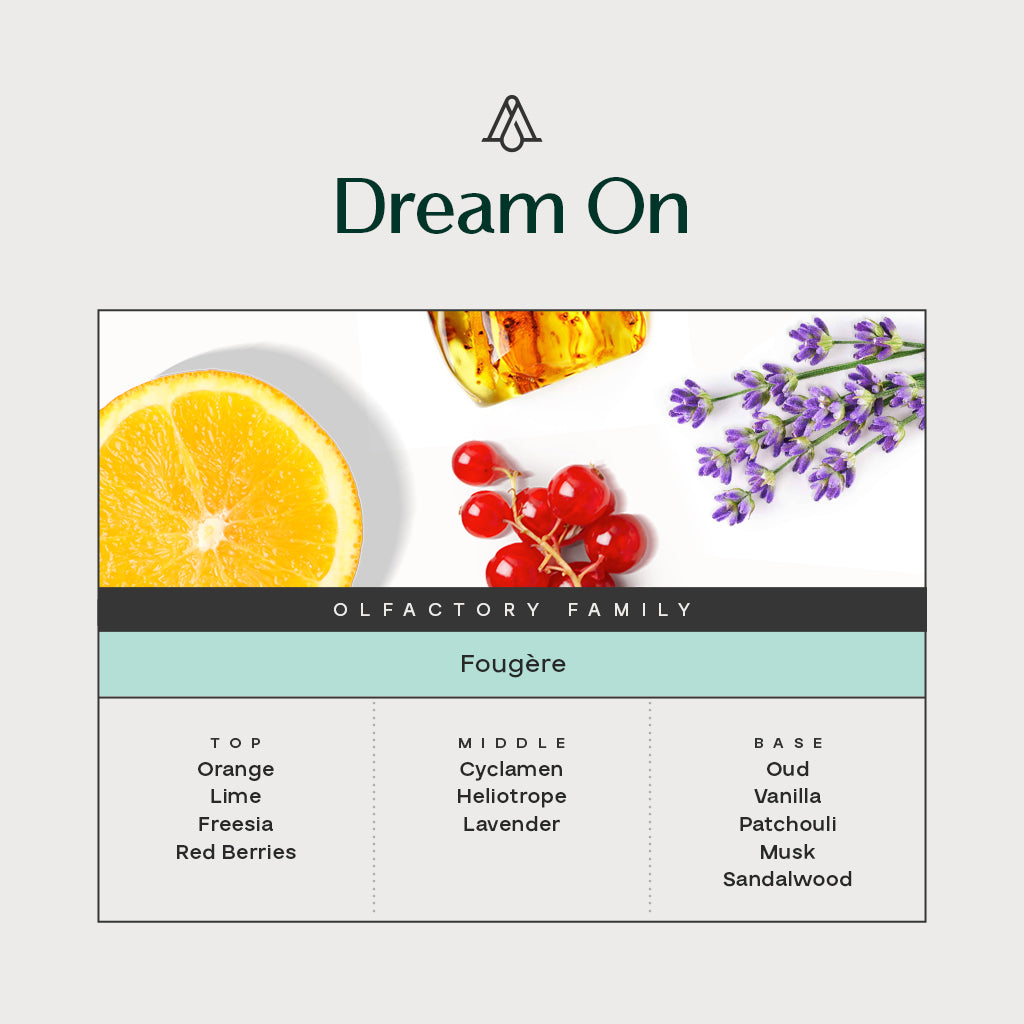 Kit Room &amp; Car Scent Dream On  – AromaPlan