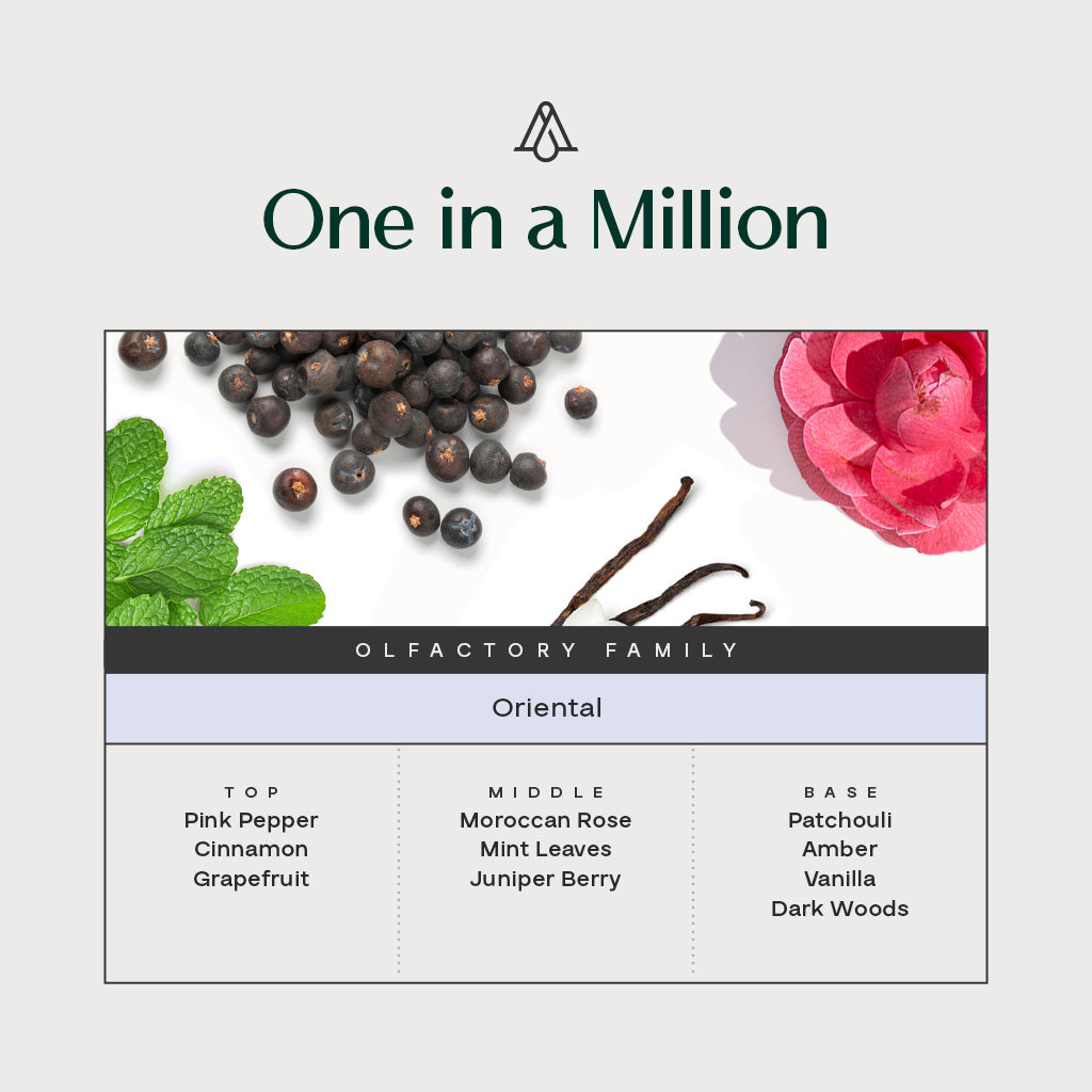One In a Million Fragrance AP095 - AromaPlan