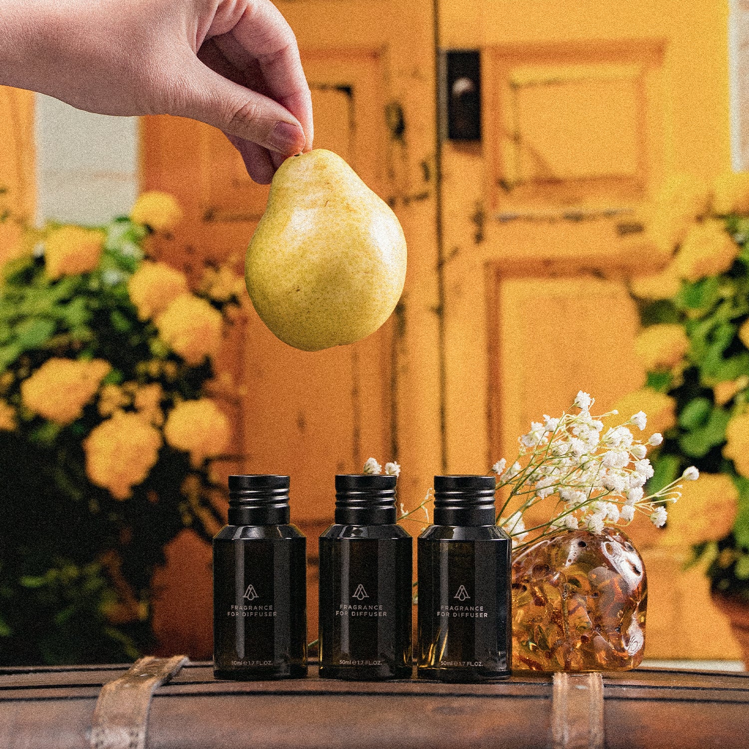 Destinations Fragrance Kit - Kit 3x45ml - AromaPlan