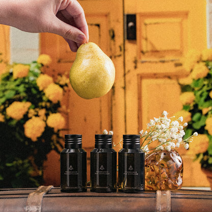 Destinations Fragrance Kit - Kit 3x45ml - AromaPlan